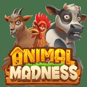 Animal Madness